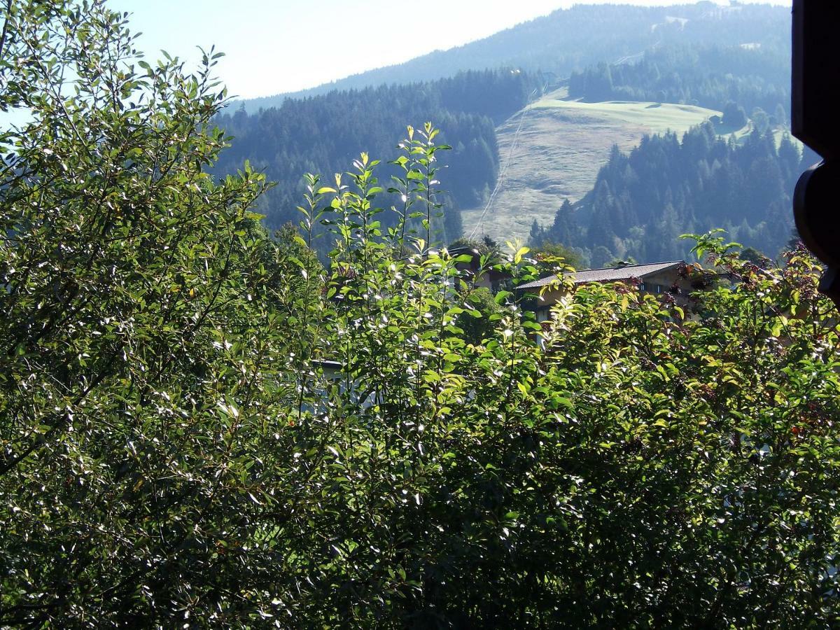 Landhaus Michael Wagrain Kültér fotó